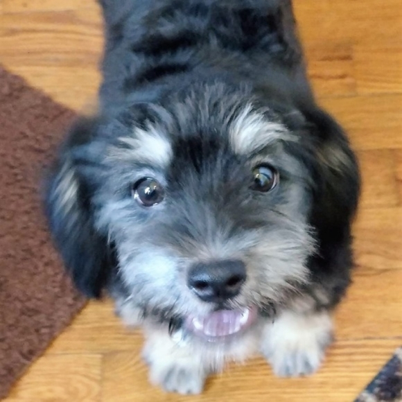 Meet Your Posher - - Picture 6 of 16